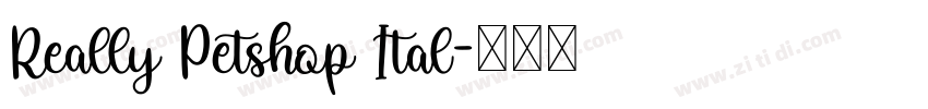Really Petshop Ital字体转换